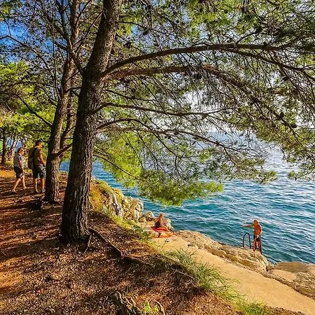 Clementa * Zadar