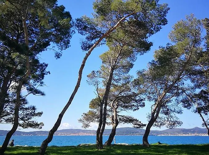 Апартаменти Clementa