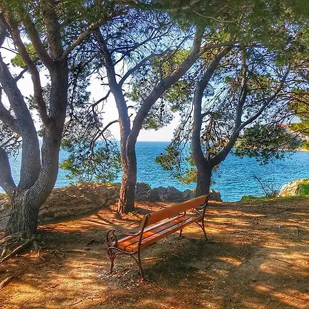 Clementa * Zadar